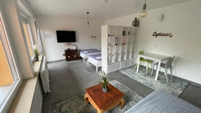 Гостиница Messeapartment Dutzendteich  Нюрнберг